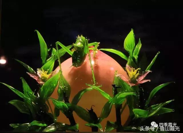 魅力龙泉,龙泉镇富硒采摘园