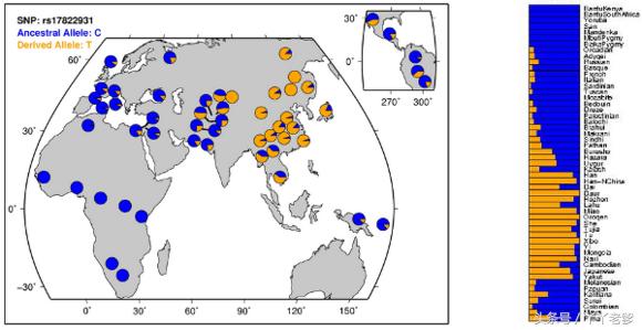 科学揭秘狐臭的故事,怎样判断是真的狐臭还是假的狐臭