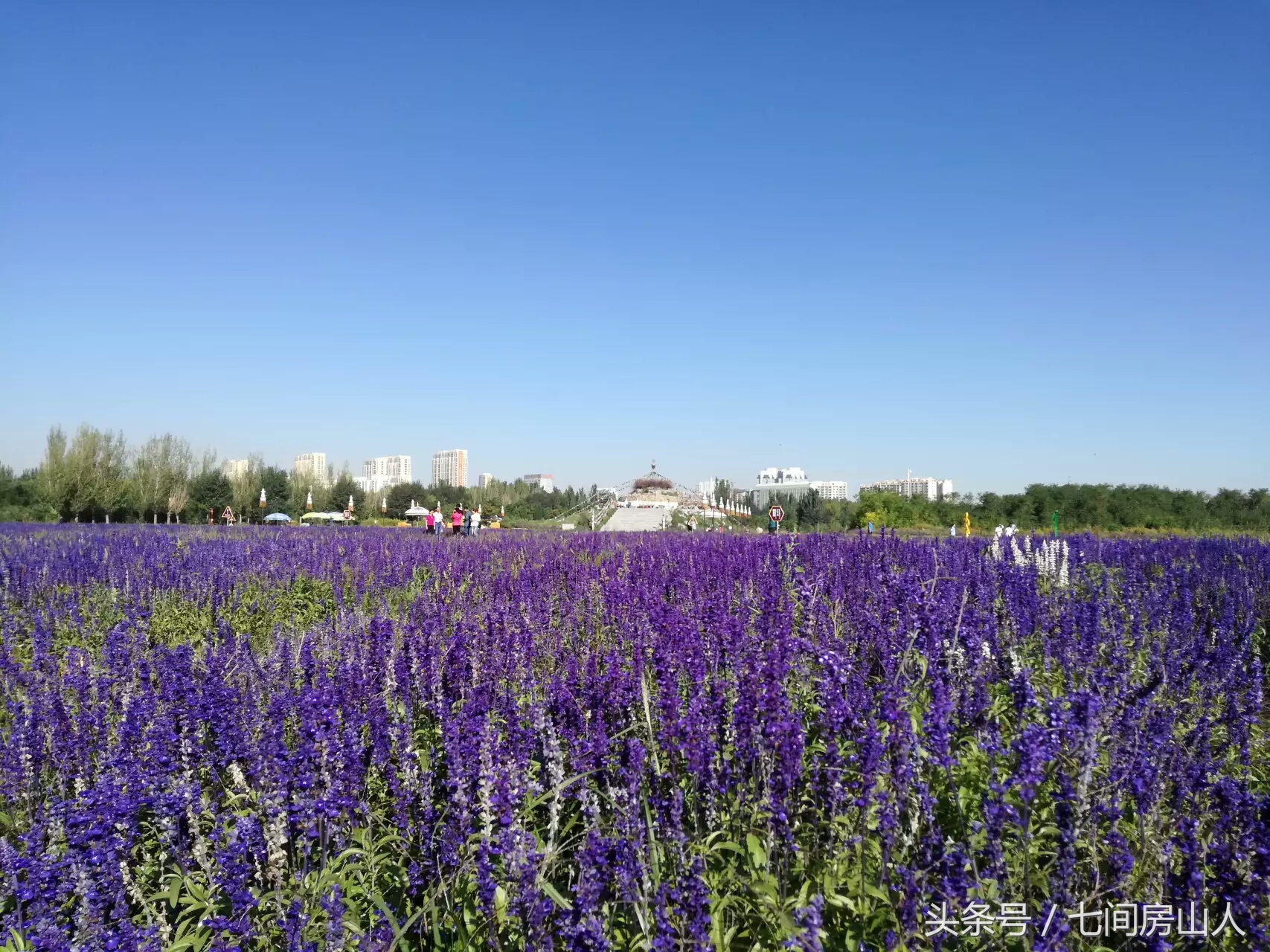 四川人的旅途,四川人去旅行