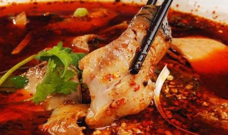 火锅鱼和水煮鱼,火锅鱼和铁锅炖