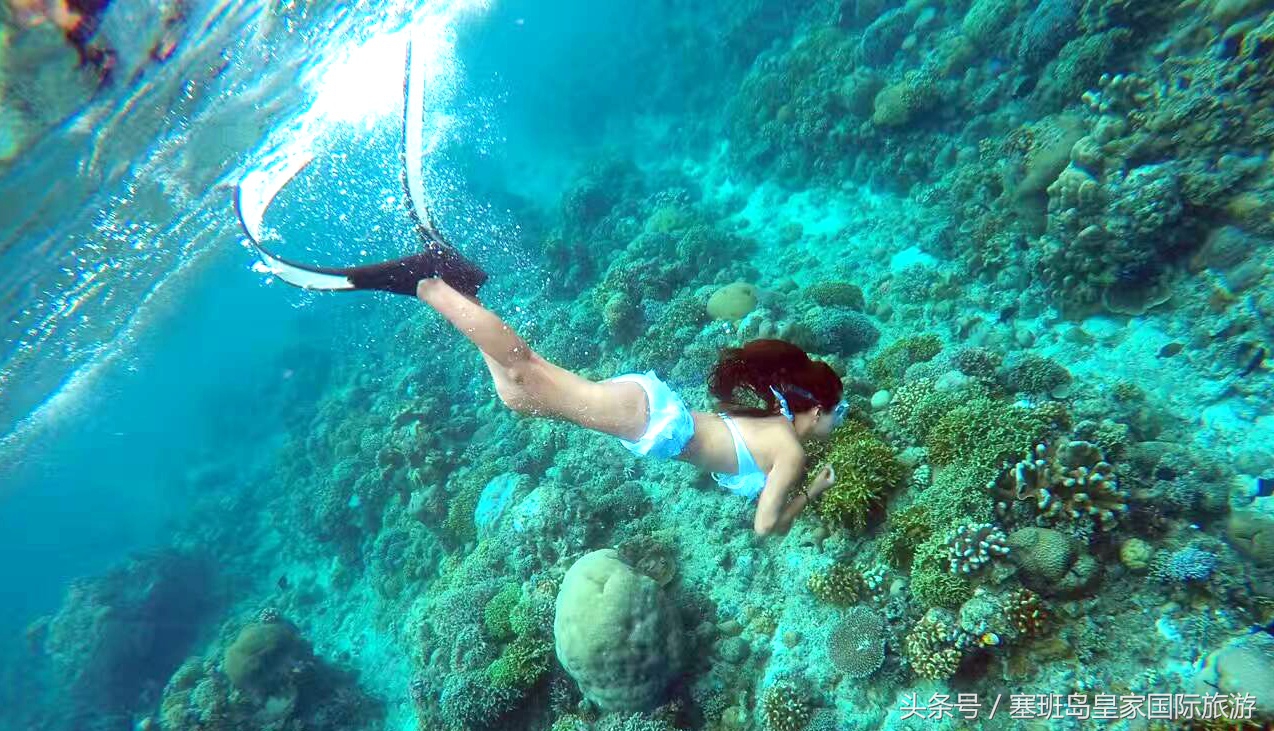 去塞班带什么礼物,去塞班岛买什么好