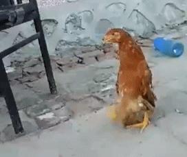 异地女友给我寄了一封信,异地女朋友给我寄的快递内容