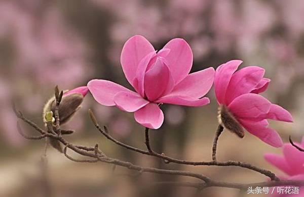 不知道给宝宝取什么名字好,不知道给小孩子取什么名字怎么取