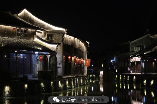回忆之旅最适合带的植物,野外旅游必须记住的植物