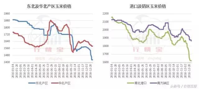 未来15天玉米行情云南玉米价格,山西玉米价格最新行情多少钱一斤