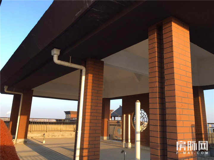 见证西安的发展,见证西安走进碑林