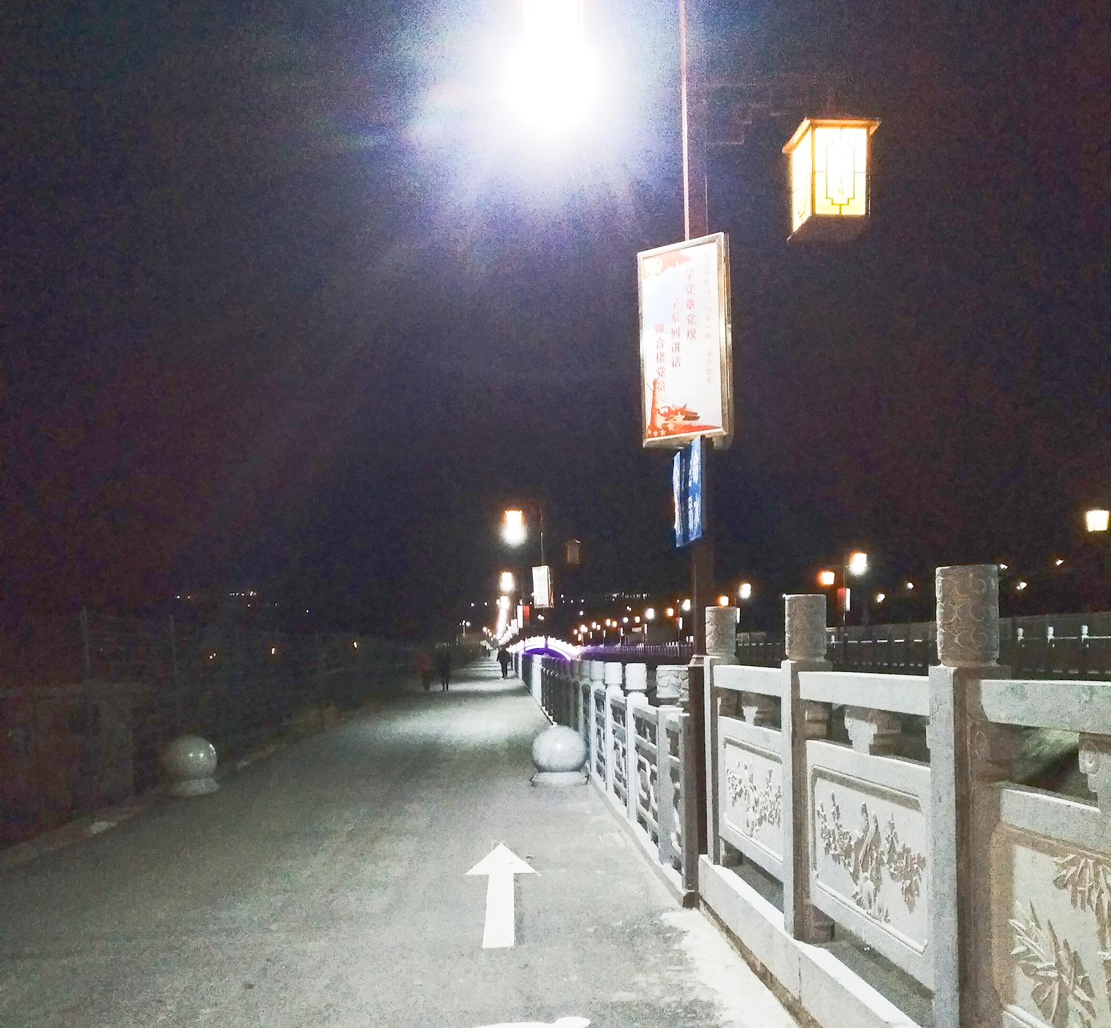 褒河花果山夜景,褒河花果山菊花台