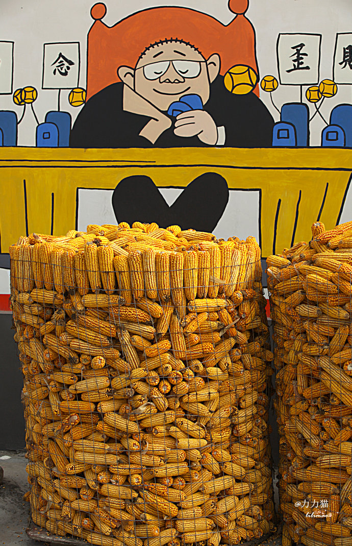 农村生活收纳箱,农村粮食收纳仓