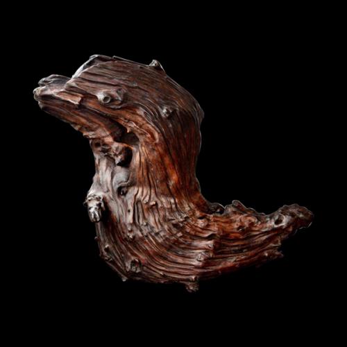 传世最顶级奇楠沉香展现,天然奇楠沉香面世图片