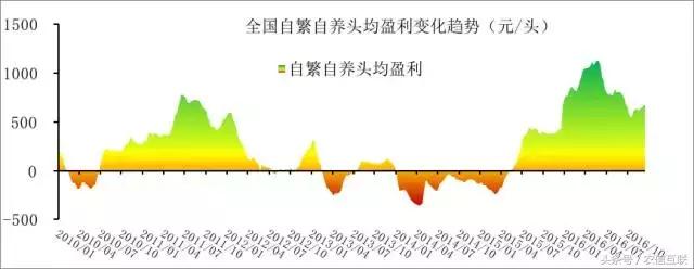 今年养猪预测,现在猪价下跌养猪还来得及吗
