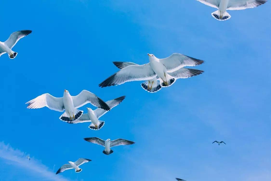 清新的蓝色有着大海的气息,如果蓝色