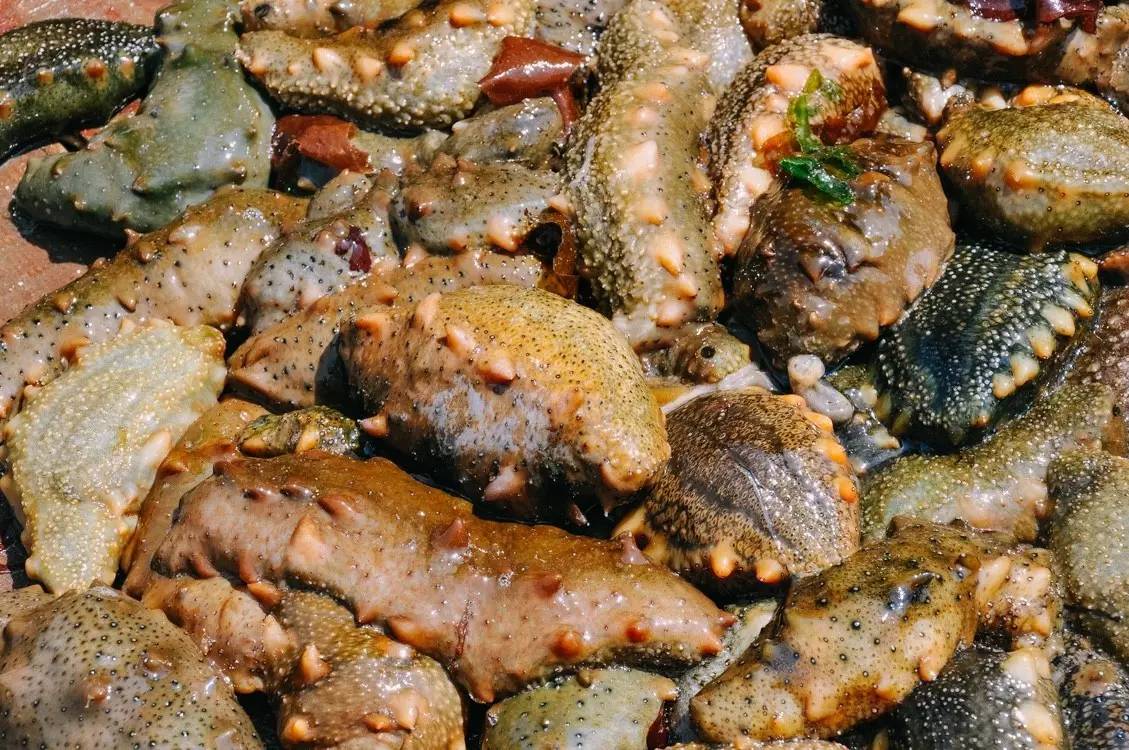 清新的蓝色有着大海的气息,如果蓝色