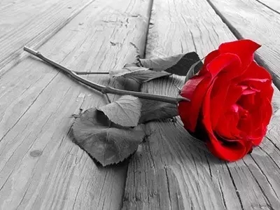 基督徒夫妻之间的责任,在基督教里夫妻如何相处