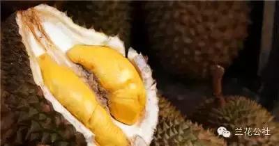 五种食物很难闻，但对女性很有利！