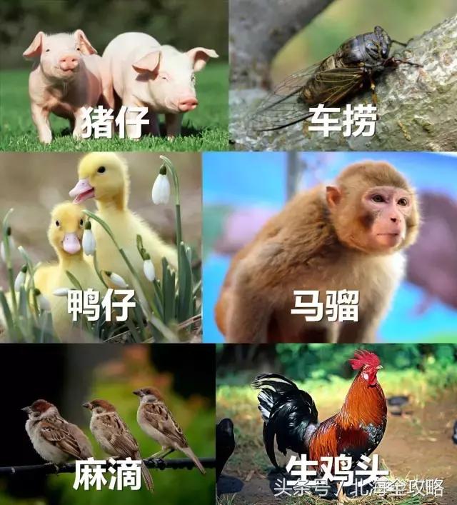 怎么证明你是个靖江人,如何证明自己是广西人