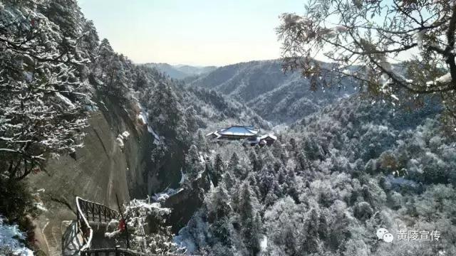 一场雪黄陵就美成了人间仙境