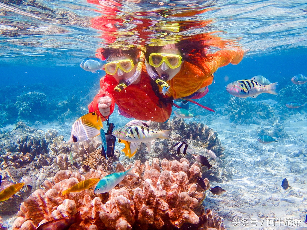 春日美丽的景色,春日里的风景美景