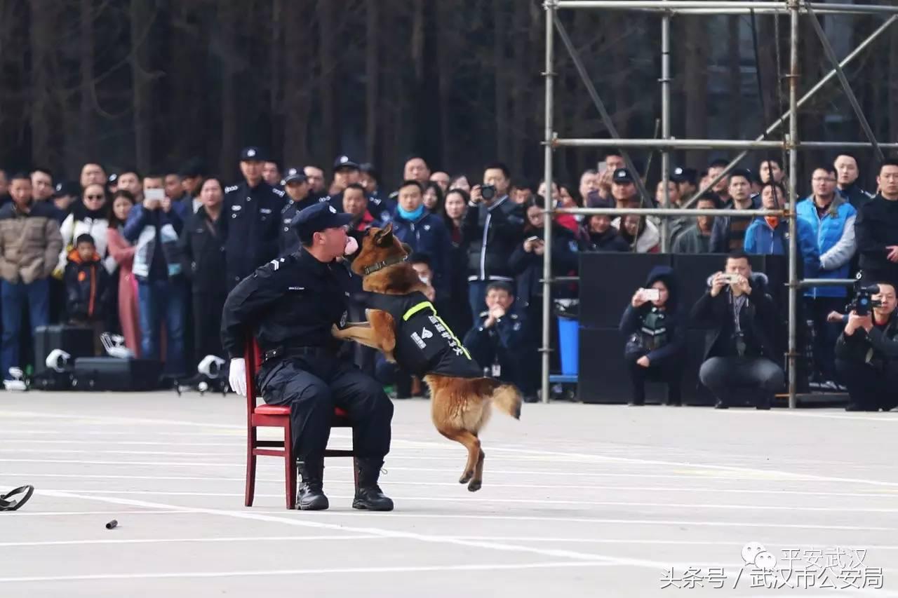 浜哄湪姹熸箹鐪熷疄闀栧眬瑙嗛,浜哄湪闀栧眬