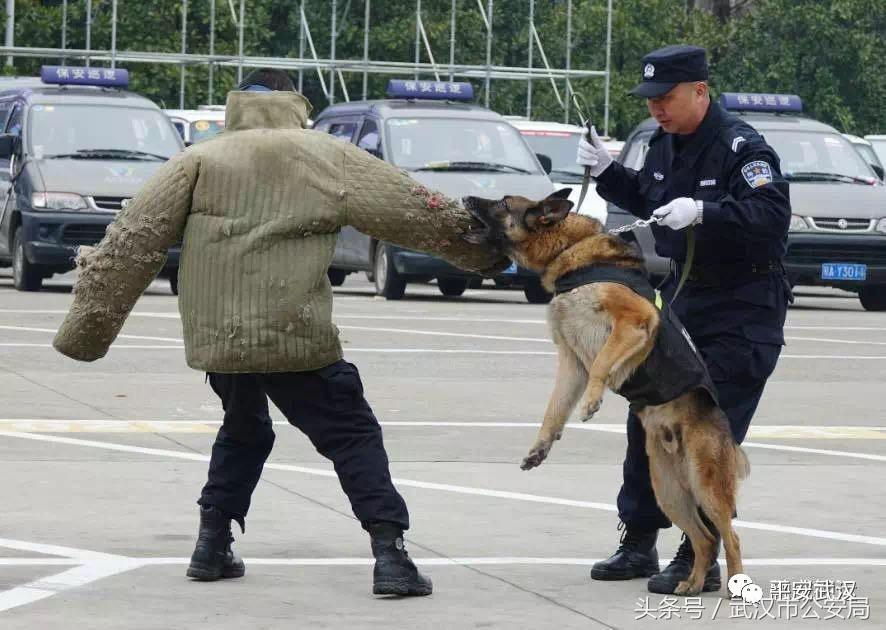 浜哄湪姹熸箹鐪熷疄闀栧眬瑙嗛,浜哄湪闀栧眬