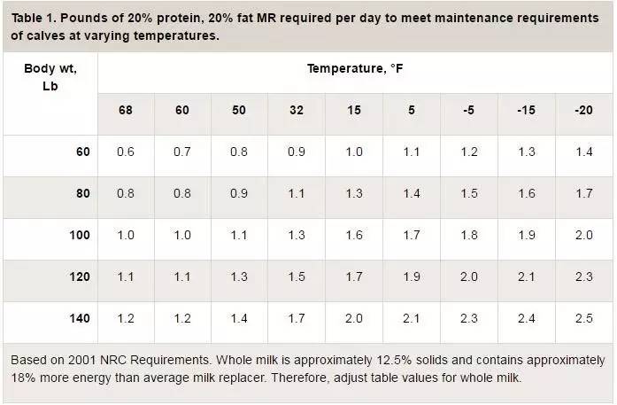用心的犊牛管理者CRI国际兽医学博士——大卫L·布朗
