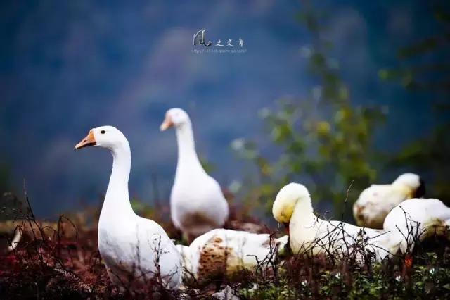 逃离雾霾最好的地方是哪里,逃离雾霾去哪里