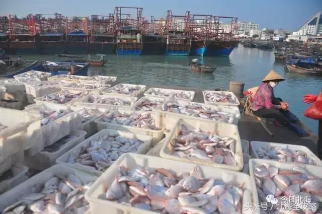 怎么证明你是个靖江人,如何证明自己是广西人