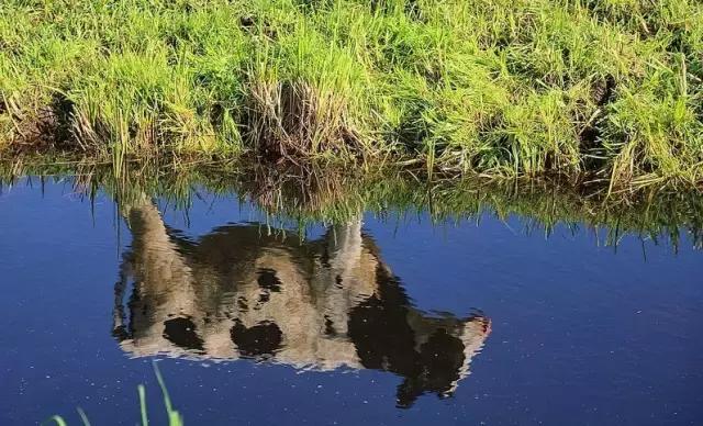 鎮﹁娉板浗鏃呰,浜氭床寤変环鑸┖瀹樼綉