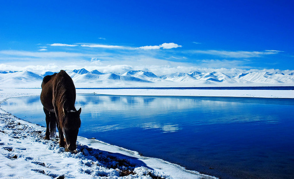 十二月份的西藏值得去吗,藏西秘境可以去吗