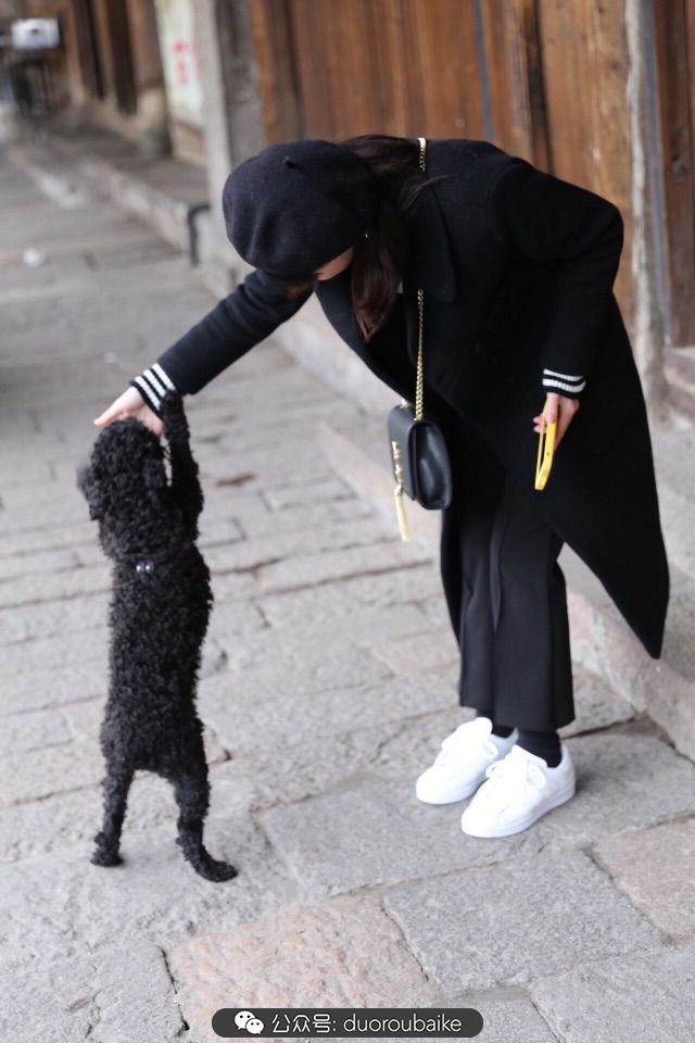 回忆之旅最适合带的植物,野外旅游必须记住的植物