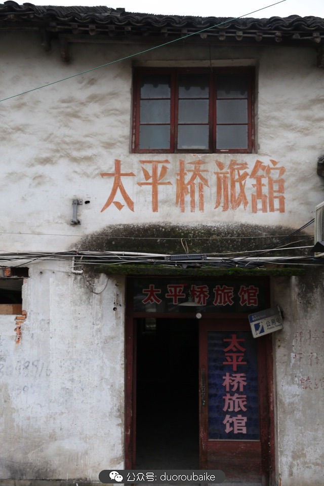 回忆之旅最适合带的植物,野外旅游必须记住的植物