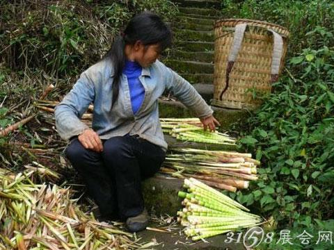 西部刀手，行走于中国道教神山四川洪雅瓦屋山，隐藏杀伐之气！