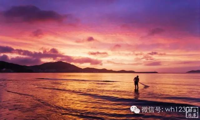 威海有毒海洋生物,威海有毒的海鱼