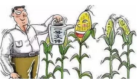 2016年玉米价格是多少钱一斤,2017年玉米价格是涨还是继续跌