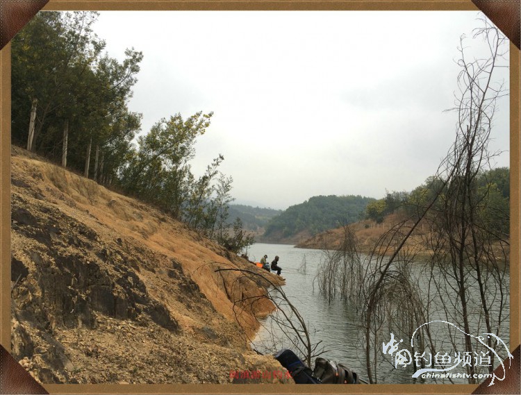 冷雨咬钩,冷雨钓鱼钓多深