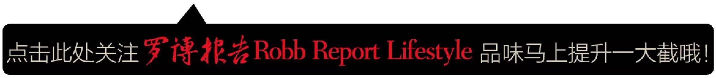 罗博报告表,罗博报告内容