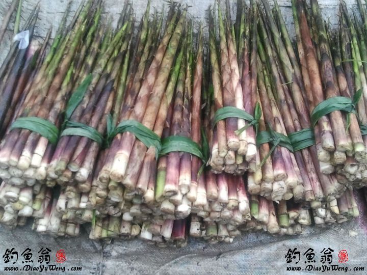 西部刀手，行走于中国道教神山四川洪雅瓦屋山，隐藏杀伐之气！