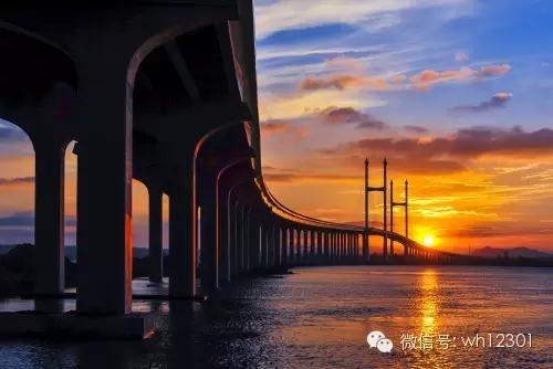 威海有毒海洋生物,威海有毒的海鱼