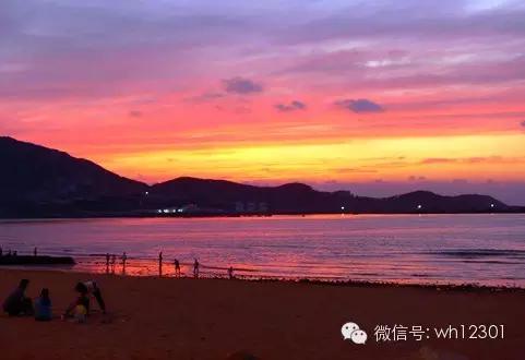 威海有毒海洋生物,威海有毒的海鱼