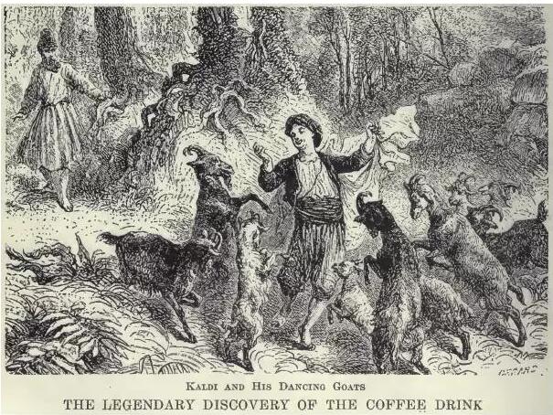 以illy为例，聊聊我们身边的咖啡革命