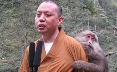 和尚为啥那么好看,一个和尚为什么这么火