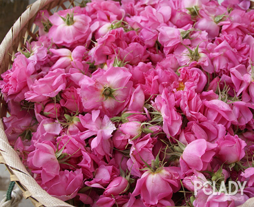 护肤产品黄金油,护肤黄金油