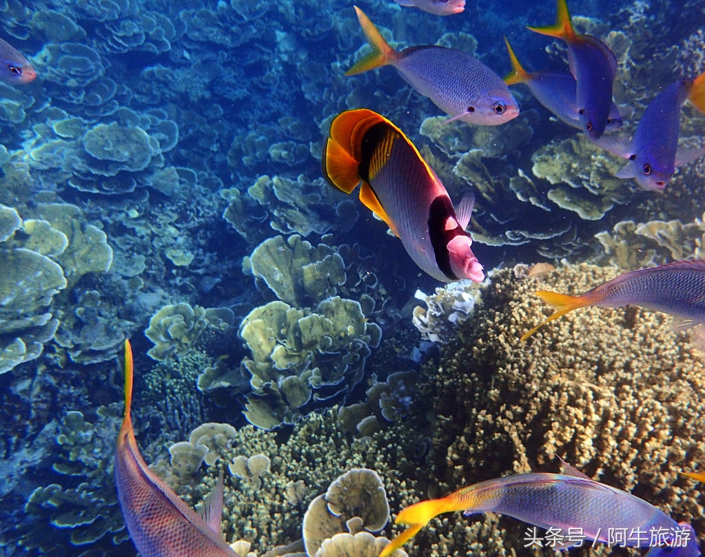 春日美丽的景色,春日里的风景美景