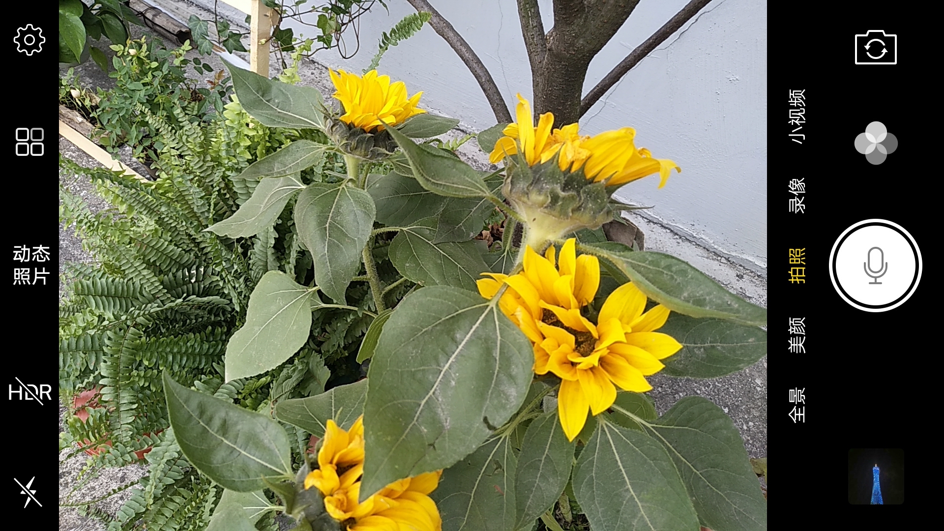 vivox9星空蓝,买vivox90pro十大忠告