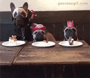 哈士奇冰箱质量可靠吗,冰箱里的哈士奇