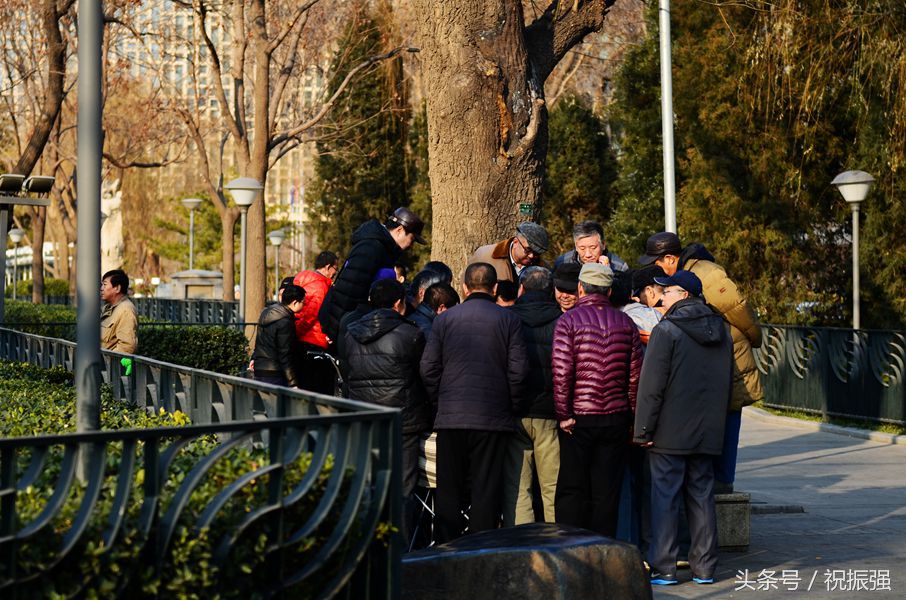 北京十大花鸟鱼虫市场,北京官园花鸟鱼虫市场现在开放吗