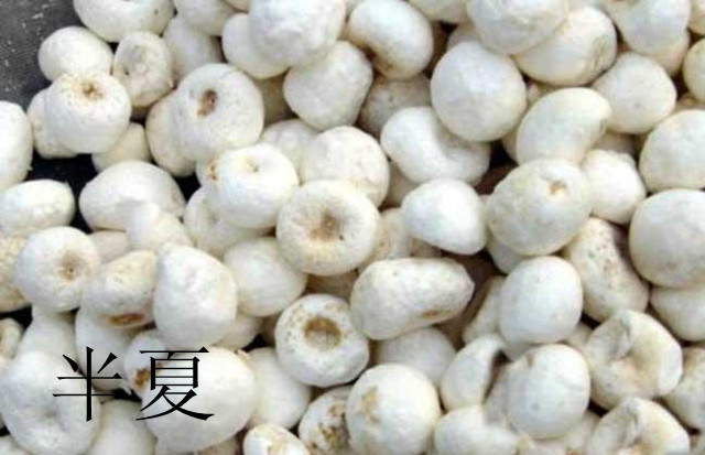 胃里老是有气胀的是什么原因,胃里感觉塞是怎么回事