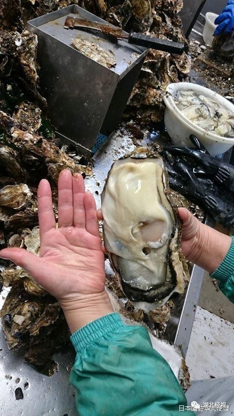 外卖里面有尿气味,外卖里吃出一股馊味咋办