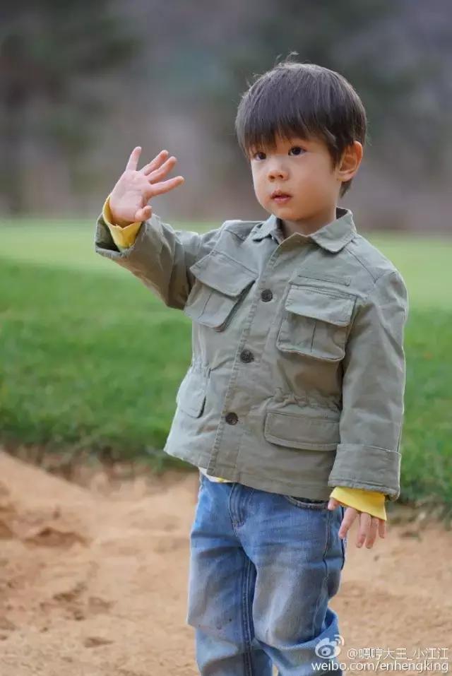 小海绵小星星,小星星小海豚林心如