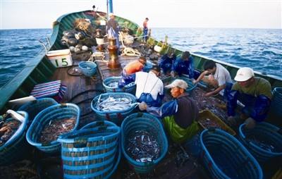 三农日报｜奇怪！两个梨卖到100元；一亩田完成C轮融资