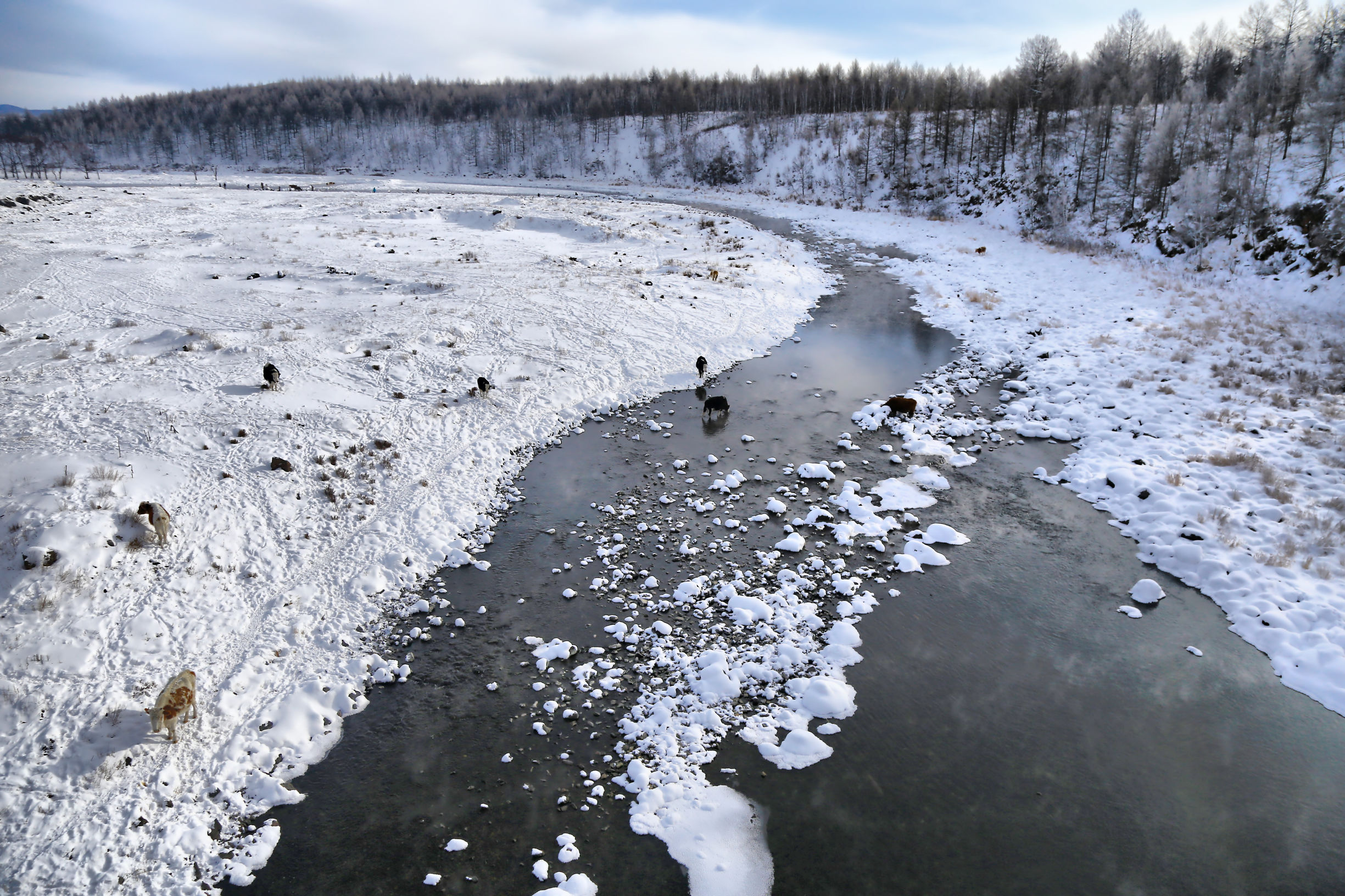 穿越内蒙古大草原雪景,来内蒙古大草原看雪